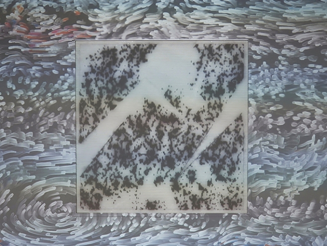 03 Z Stone in Exhibition 2022